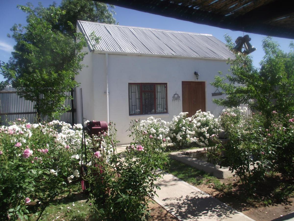 Lavender Rose Bed & Breakfast Bethulie ภายนอก รูปภาพ