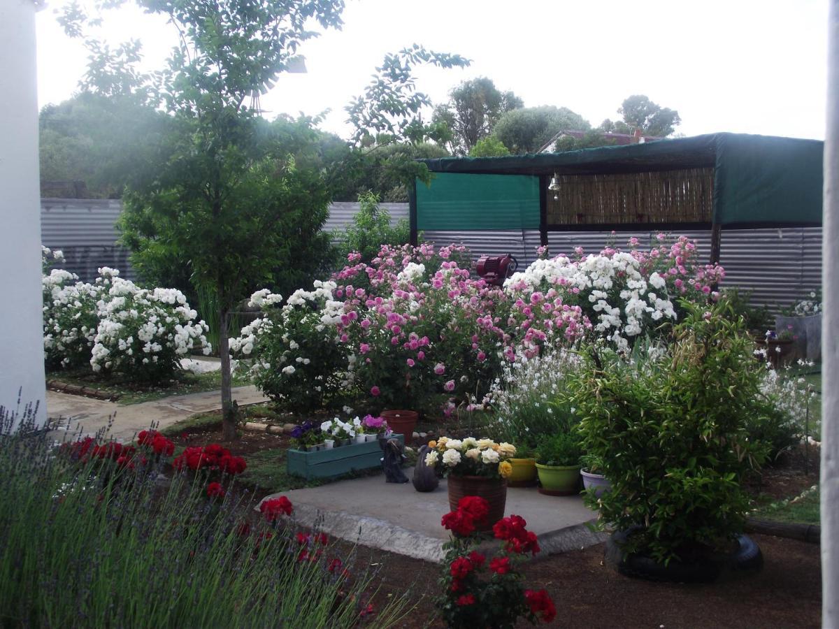 Lavender Rose Bed & Breakfast Bethulie ภายนอก รูปภาพ